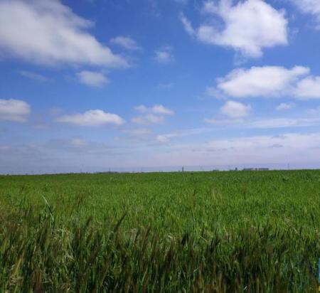 Продам ділянку під забудову житлової нерухомості