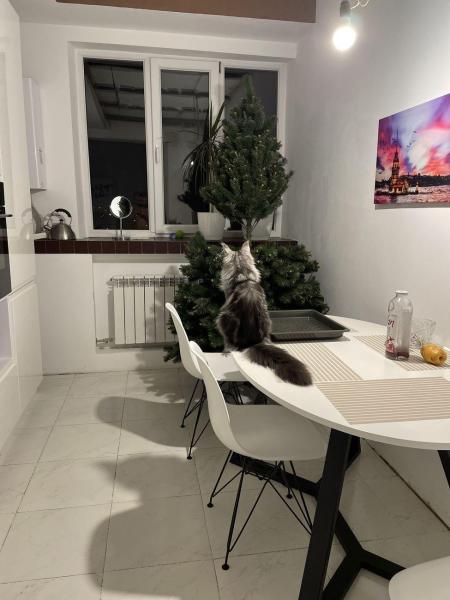 Продаж квартири