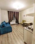 Продам 1-комнатную квартиру в новостройке, ЖК «Озерное», 27.60 м², косметический ремонт