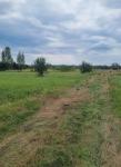 Продам дачна ділянка ділянку, 12 сот.