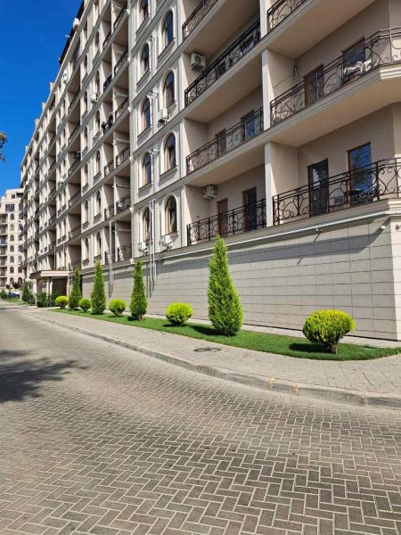Продам апартаменты, ЖК «Avinion»