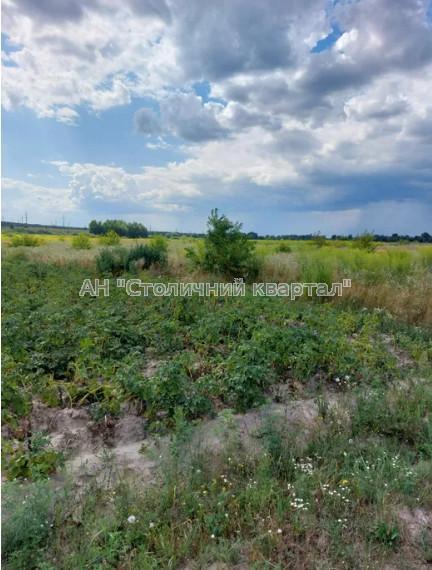 Продам ділянку сільгосп призначення
