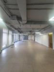 Здам офісне приміщення, 521 м², авторський дизайн