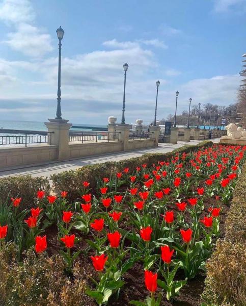 Продам 1-кімнатну квартиру в новобудові, ЖК&nbsp;«Посейдон»
