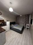 Сдам 1-комнатную квартиру, 22 м², косметический ремонт