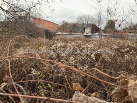 Продам ділянку сільгосп призначення