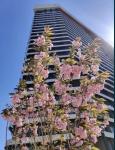 Продам 2-комнатную квартиру в новостройке, 84 м², без внутренних работ