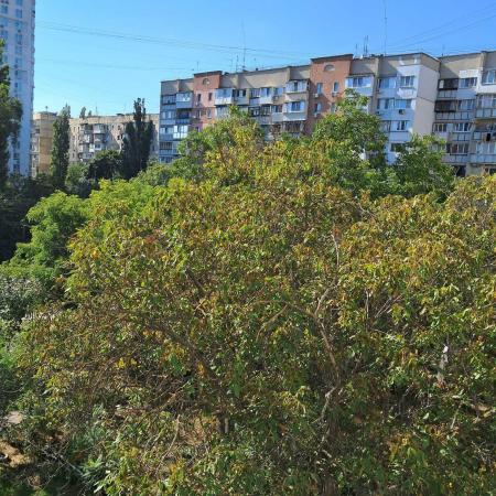 Продам 1-комнатную квартиру