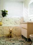 Продам 3-комнатную квартиру, 112 м², косметический ремонт