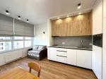Здам 1-кімнатну квартиру, 46 м², євроремонт