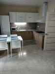 Здам 1-кімнатну квартиру в новобудові, ЖК Династія, 53 м², євроремонт