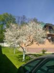 Продам 2-поверховий будинок, 252 м², капітальний ремонт