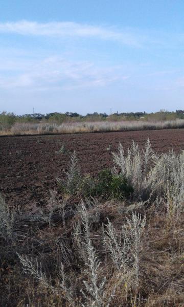 Продам ділянку під забудову приватного будинку
