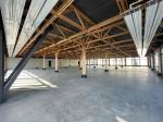 Здам офіс в офісному центрі, 890 м², капітальний ремонт