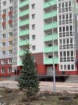 Продам 3-комнатную квартиру в новостройке, 84 м², без внутренних работ