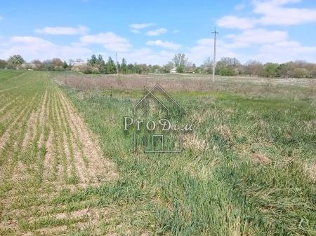 Продам ділянку сільгосп призначення