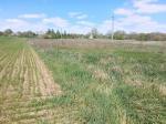 Продам ділянку сільгосп призначення, 17 сот.