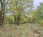 Продам ділянку під забудову житлової нерухомості, 25 сот.