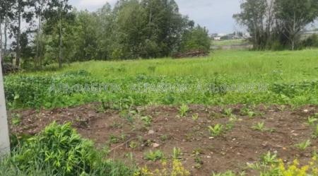 Продам ділянку сільгосп призначення