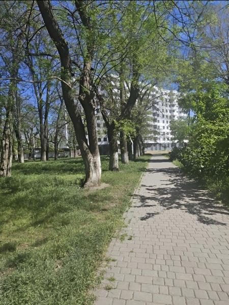 Продам 1-комнатную квартиру в новостройке, ЖК «Алексеевский»