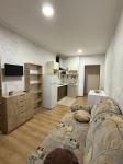Сдам 1-комнатную квартиру в новостройке, ЖК Южный квартал, 28 м², евроремонт