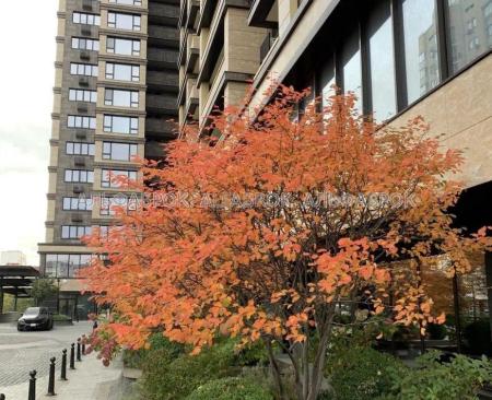 Продам 3-комнатную квартиру, ЖК Obolon Residences