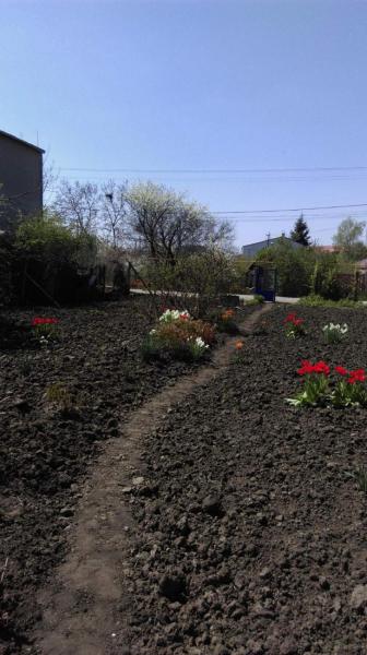 Продам ділянку під забудову приватного будинку