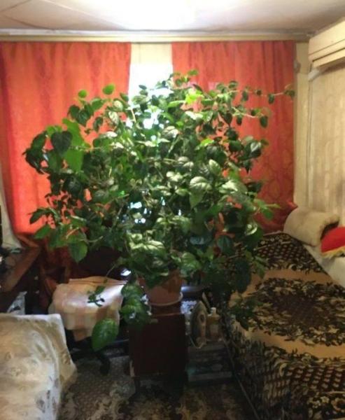 Продам підселення