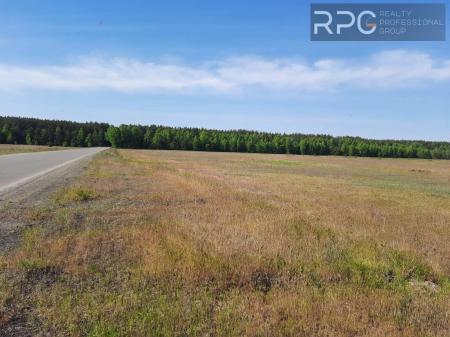 Продам ділянку сільгосп призначення