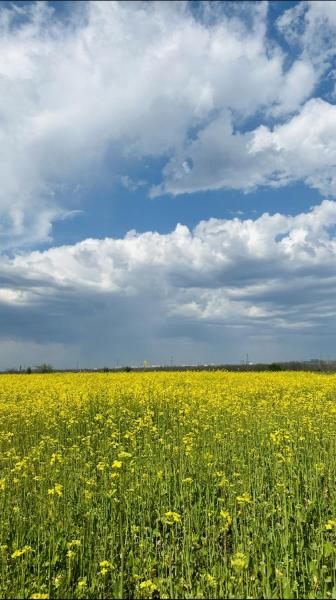 Продам участок под застройку нежилой недвижимости
