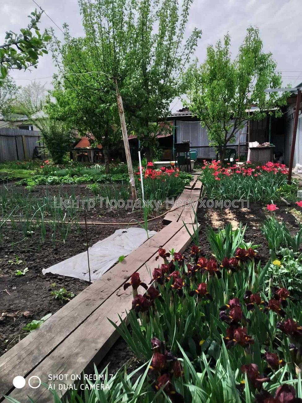 Фото Продам 1/2 будинку (дом) Немишля19