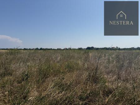 Продам ділянку сільгосп призначення