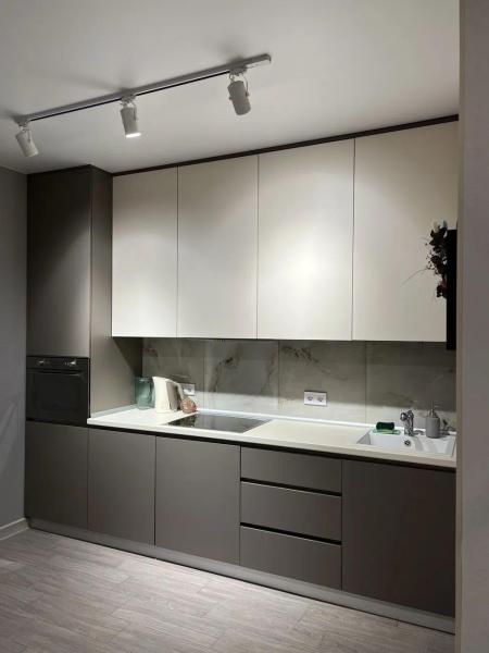1 room flat in newbuilding for rent, Residential complex «Nemeckiy proekt»
