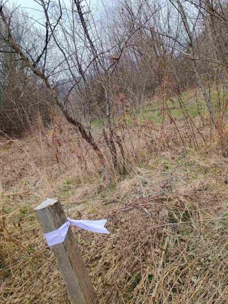 Продам ділянку сільгосп призначення