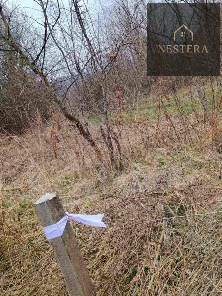 Продам ділянку сільгосп призначення