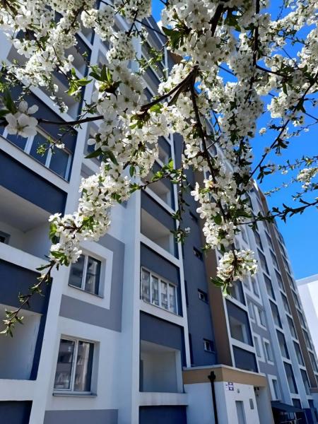 2 room flat in newbuilding for sale, Residential&nbsp;complex&nbsp;«Skazka»