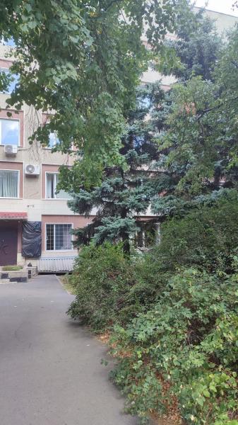 Сдам офис в офисном центре