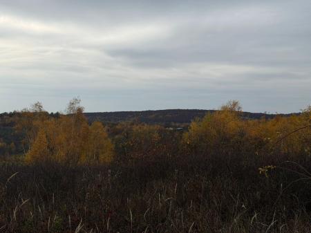 Продам ділянку під забудову приватного будинку