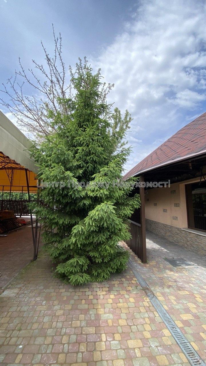 Фото Продам кафе-бар, пр-т Ювілейний, район ТРЦ Україна.7