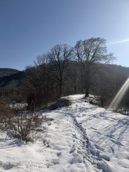 Продам ділянку під забудову житлової нерухомості
