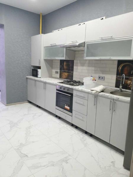 1 room flat in newbuilding for rent, Residential complex «Lazurnyy»