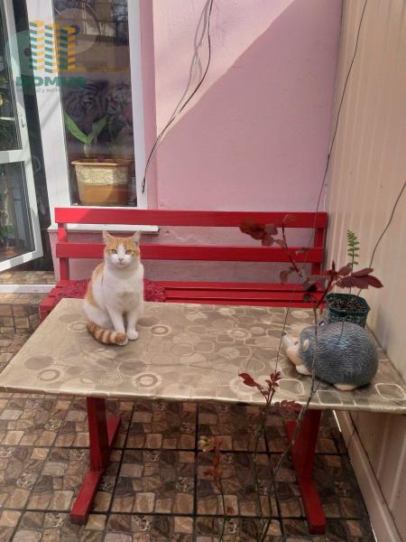 Продам 3-кімнатну квартиру