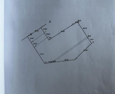 Продам ділянку сільгосп призначення