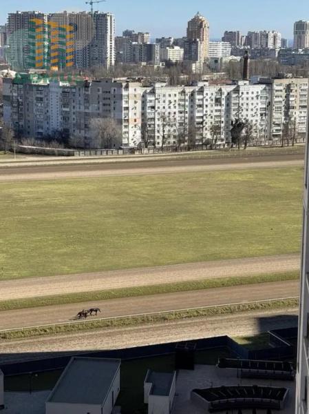 Продам 1-кімнатну квартиру, ЖК&nbsp;67&nbsp;Перлина