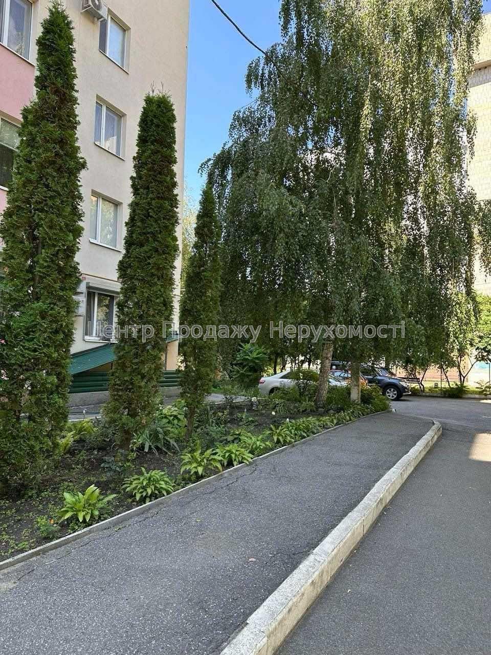 Фото Евродвушка, Новобудова. ЖК Молодежній Олексіївка4