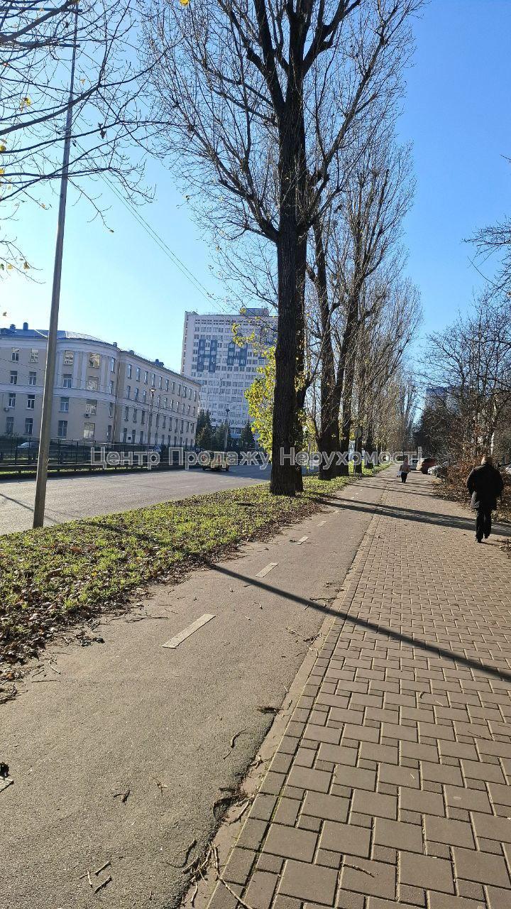 Фото 1-кімнатна 31.4 кв.м, пр.ЛюбомираГузара у дворі серед дерев ІВ6