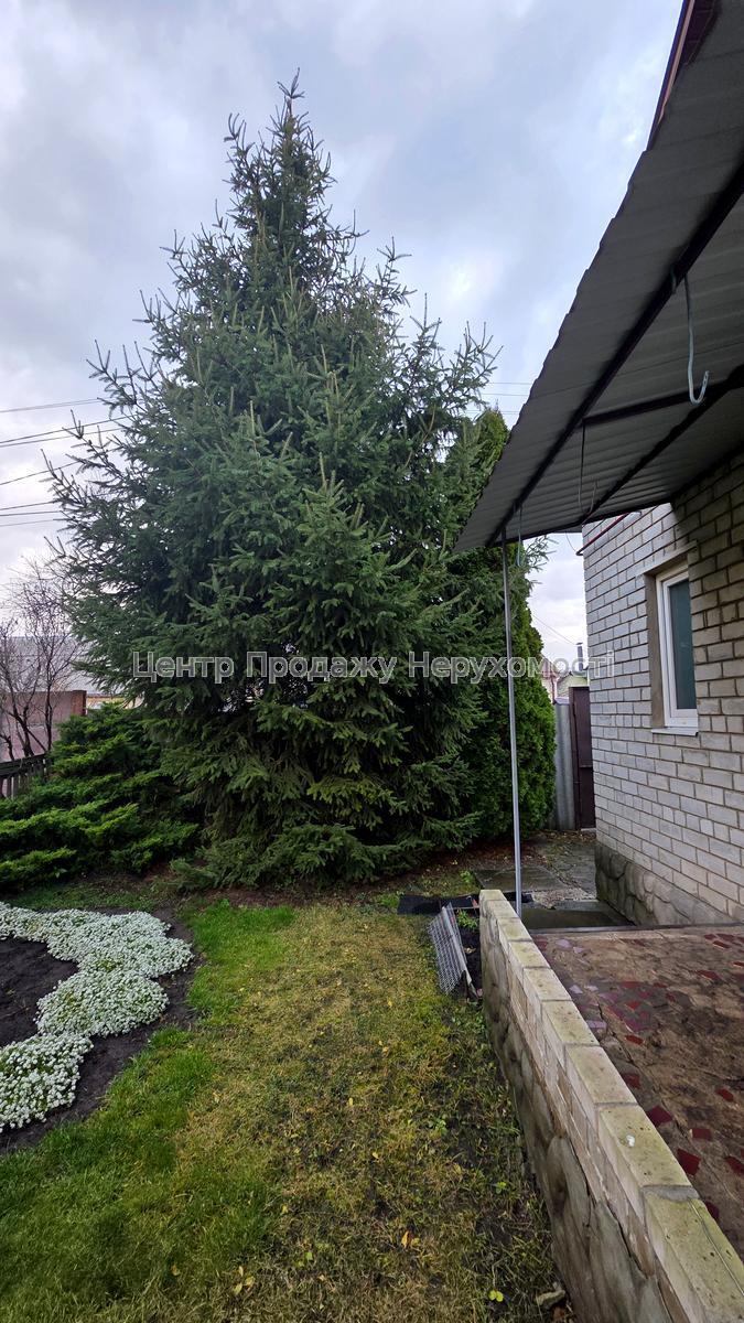 Фото Будинок з ремонтом - біля метро K81