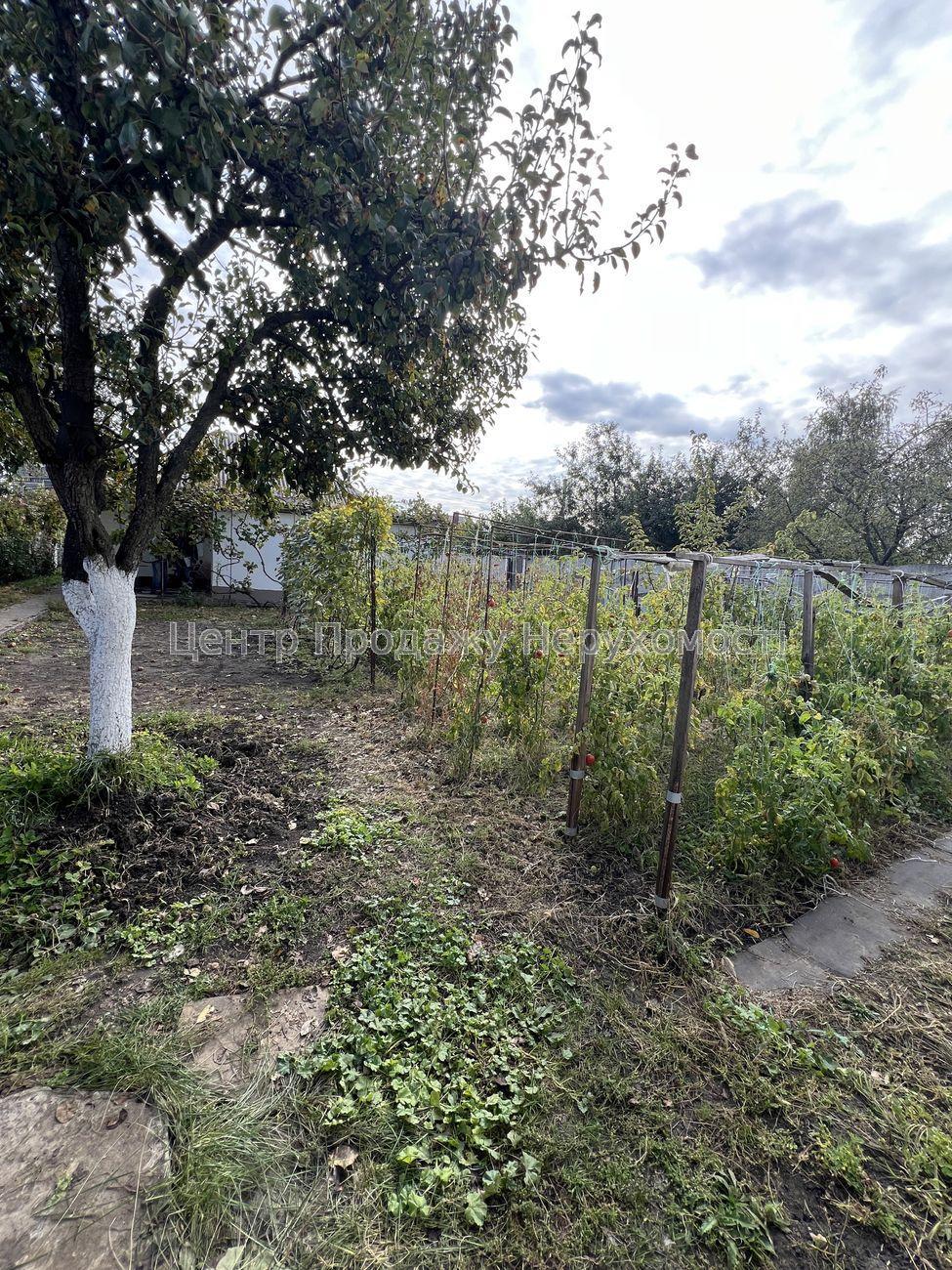 Фото Затишний будинок зі зручним розташуванням та облаштованим подвір'ям24