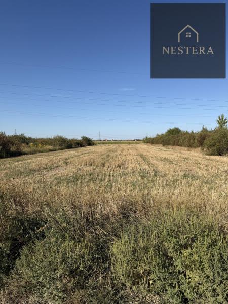 Продам ділянку сільгосп призначення