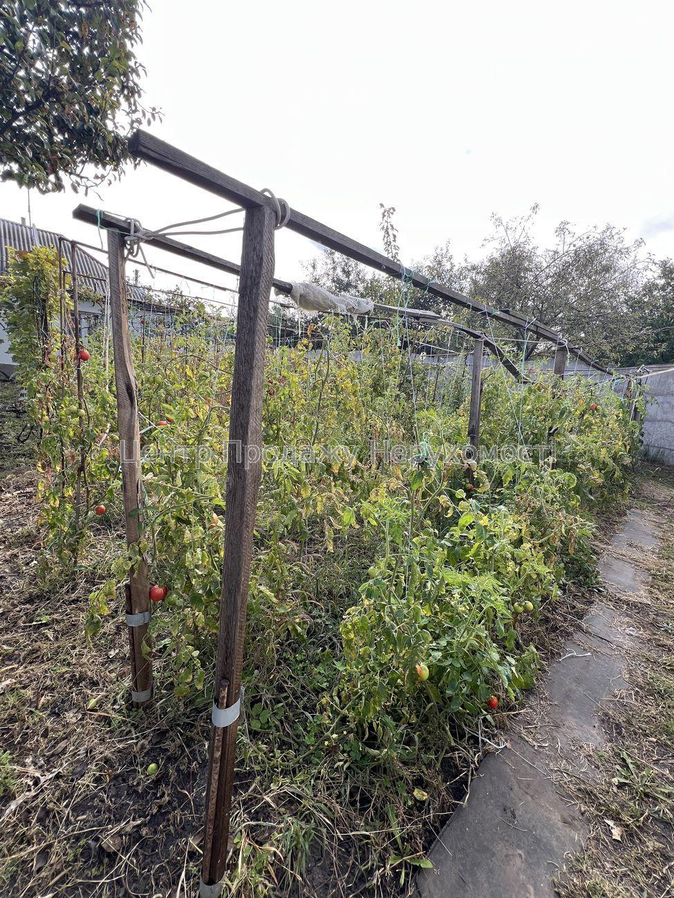 Фото Затишний будинок зі зручним розташуванням та облаштованим подвір'ям21